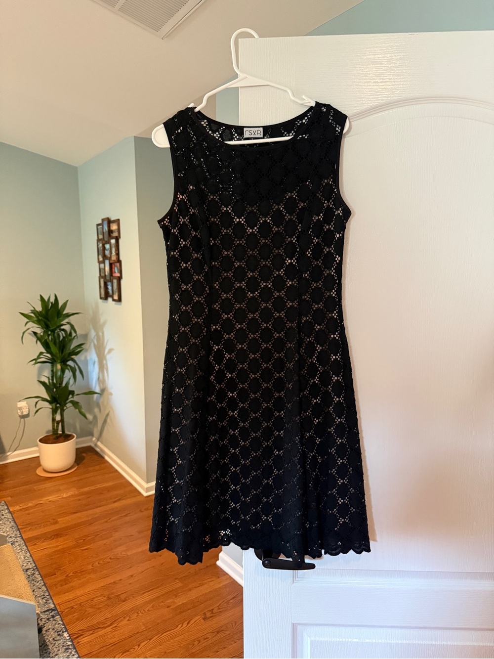 RSVP Black Sleeveless Lace Mini Dress